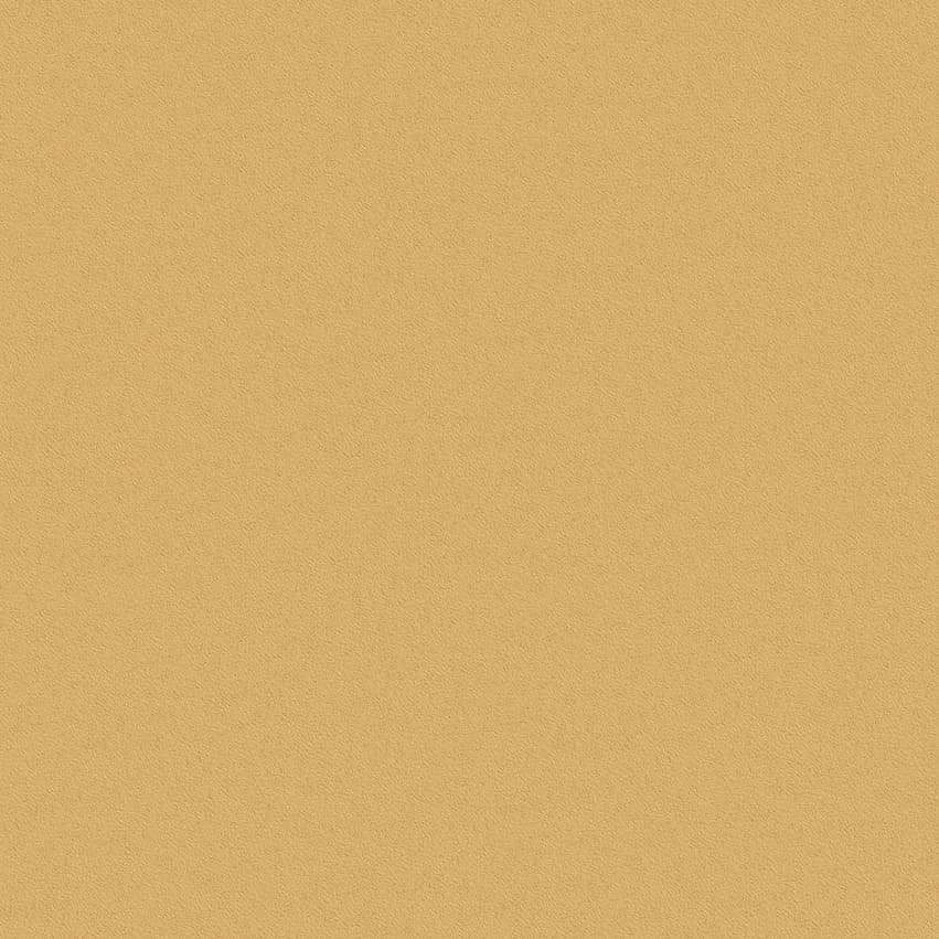 nero_102403_lowres