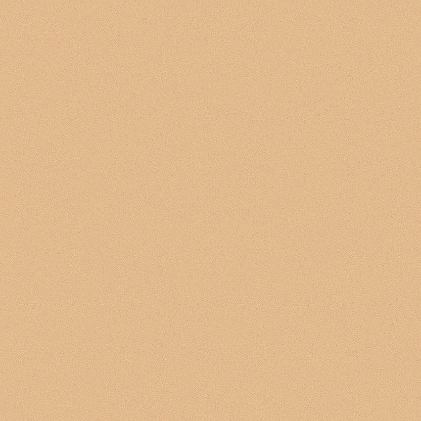 nero_102405_lowres
