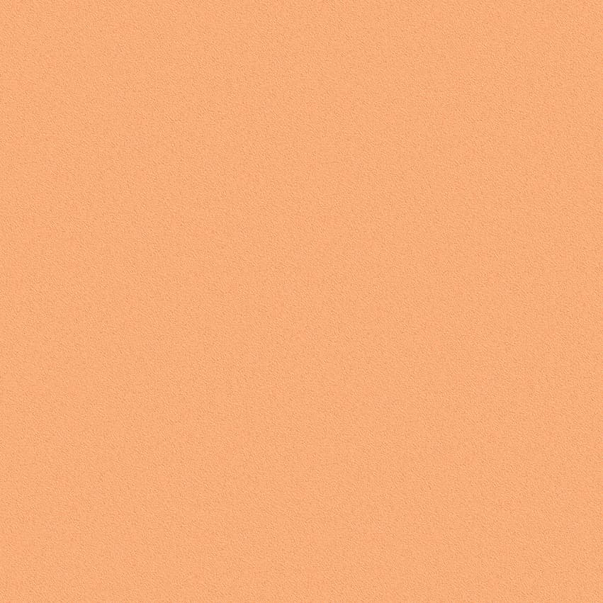 nero_102404_lowres