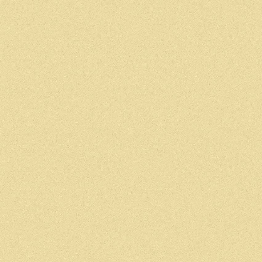 nero_102422_lowres