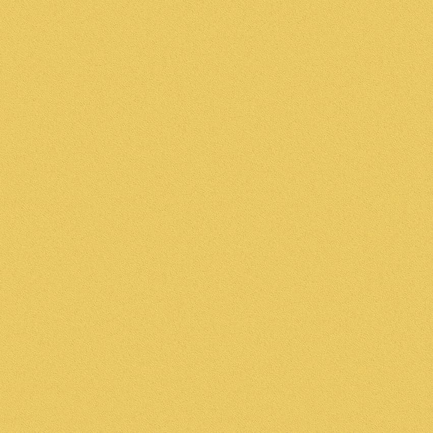 nero_102419_lowres