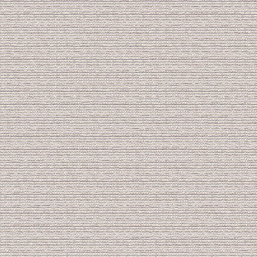 nexus_253405_lowres