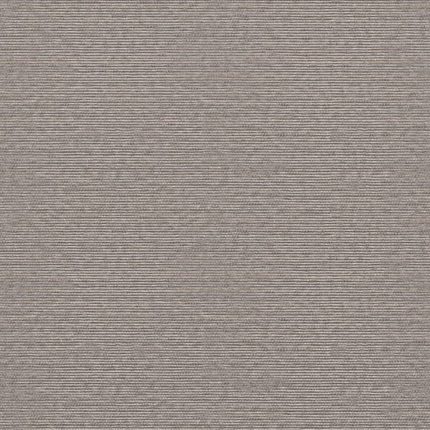 nexus_253411_lowres
