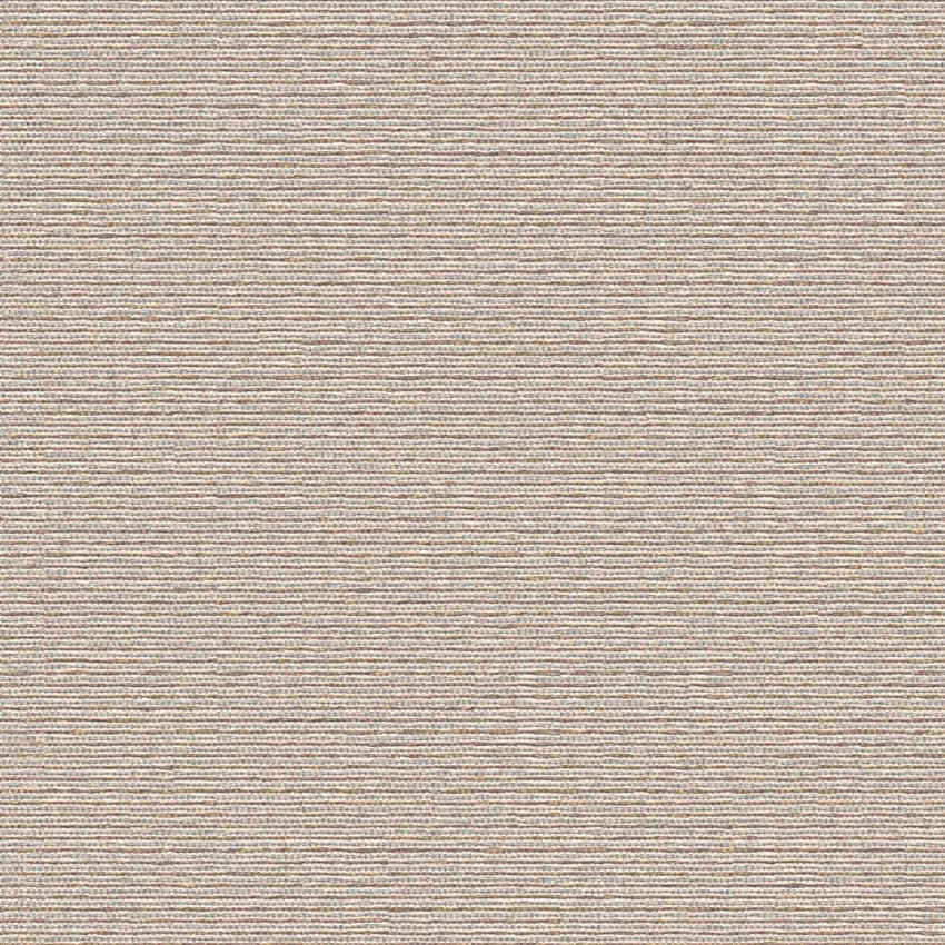 nexus_253408_lowres