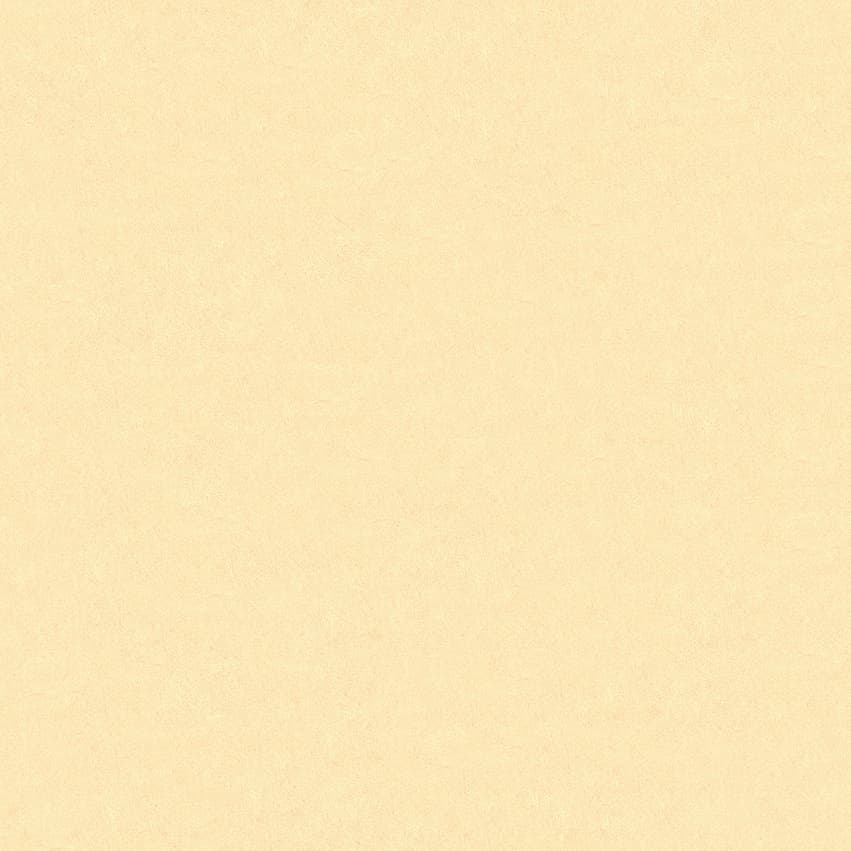 pleso_102601_lowres