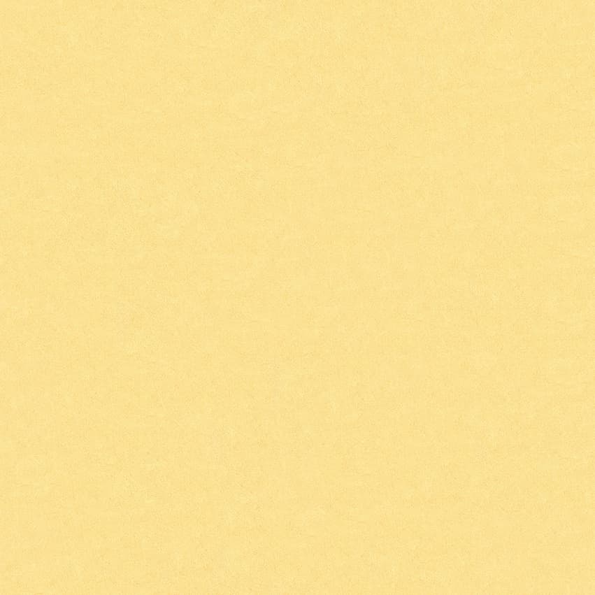 pleso_102620_lowres
