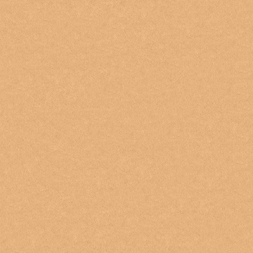 plesoprotect_102603_lowres