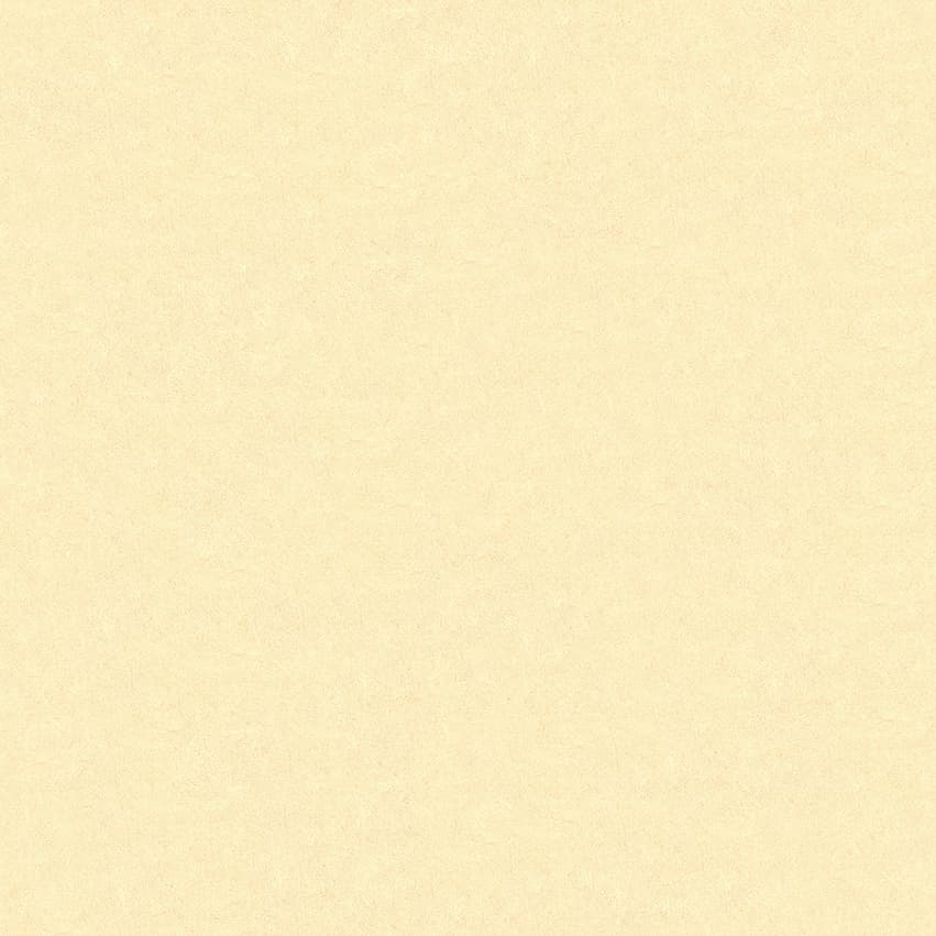 plesoprotect_102606_lowres
