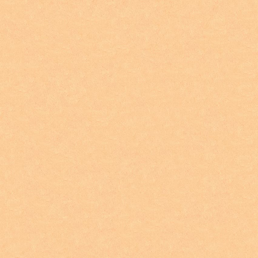 plesoprotect_102602_lowres