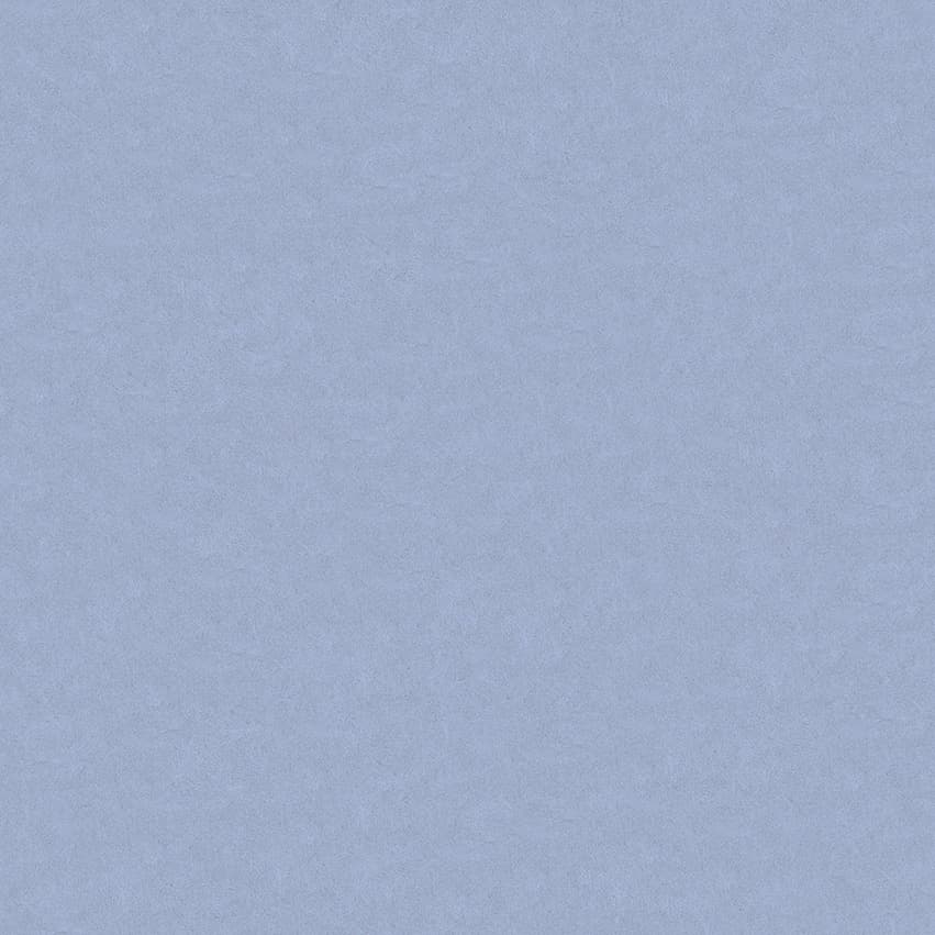 plesoprotect_102626_lowres