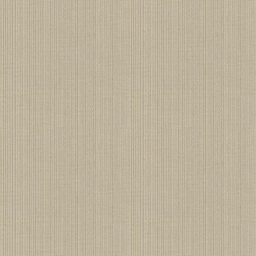 seneca_101604_lowres