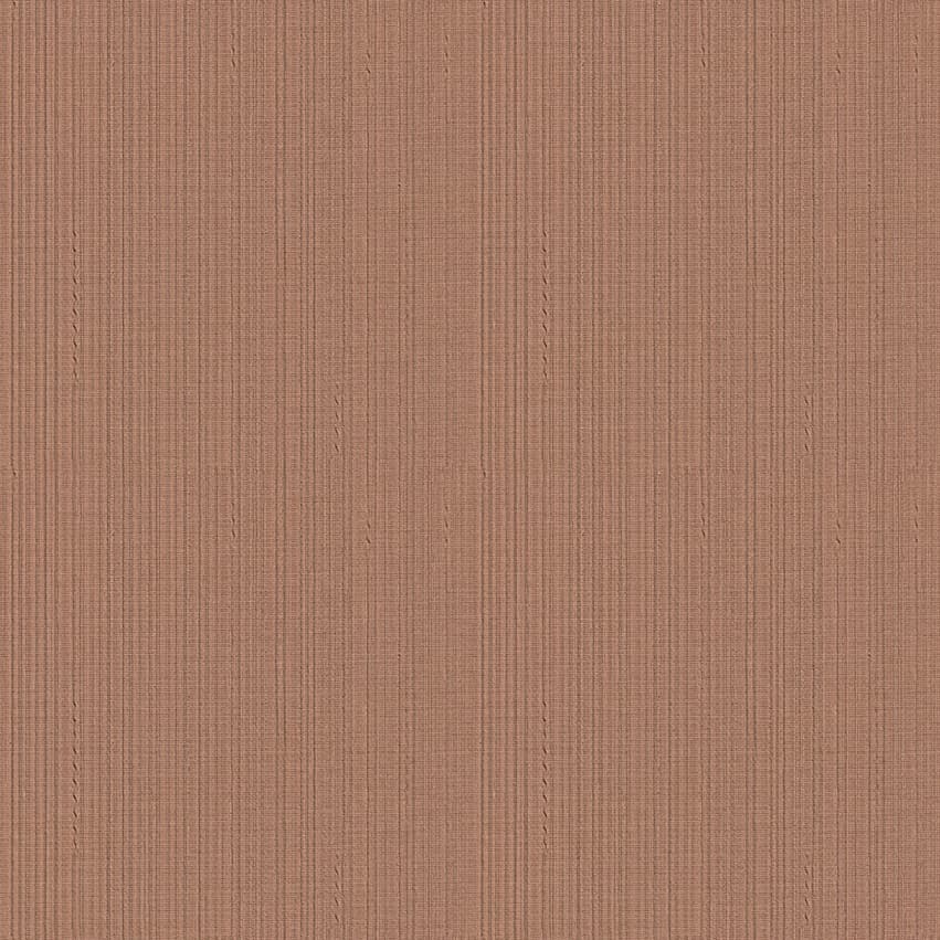 seneca_101605_lowres