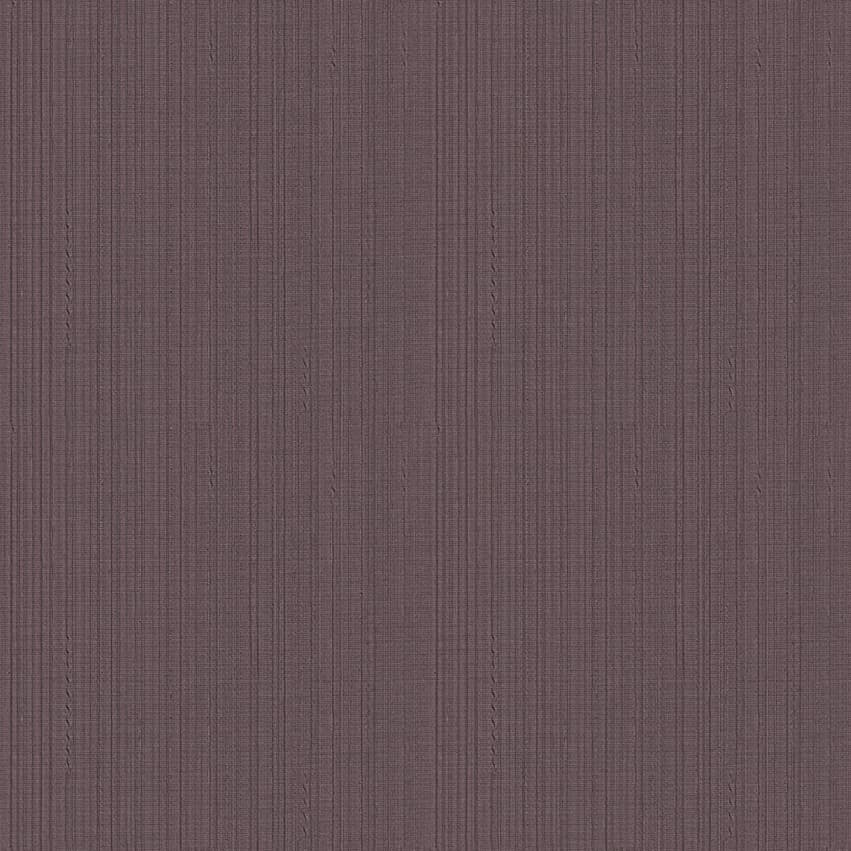 seneca_101609_lowres
