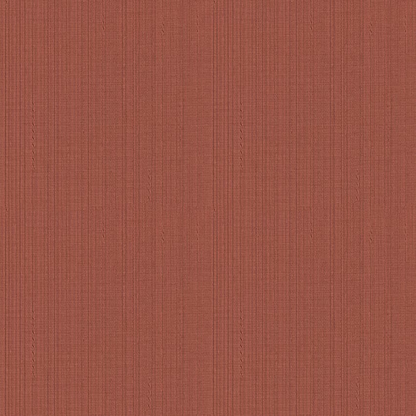 seneca_101608_lowres