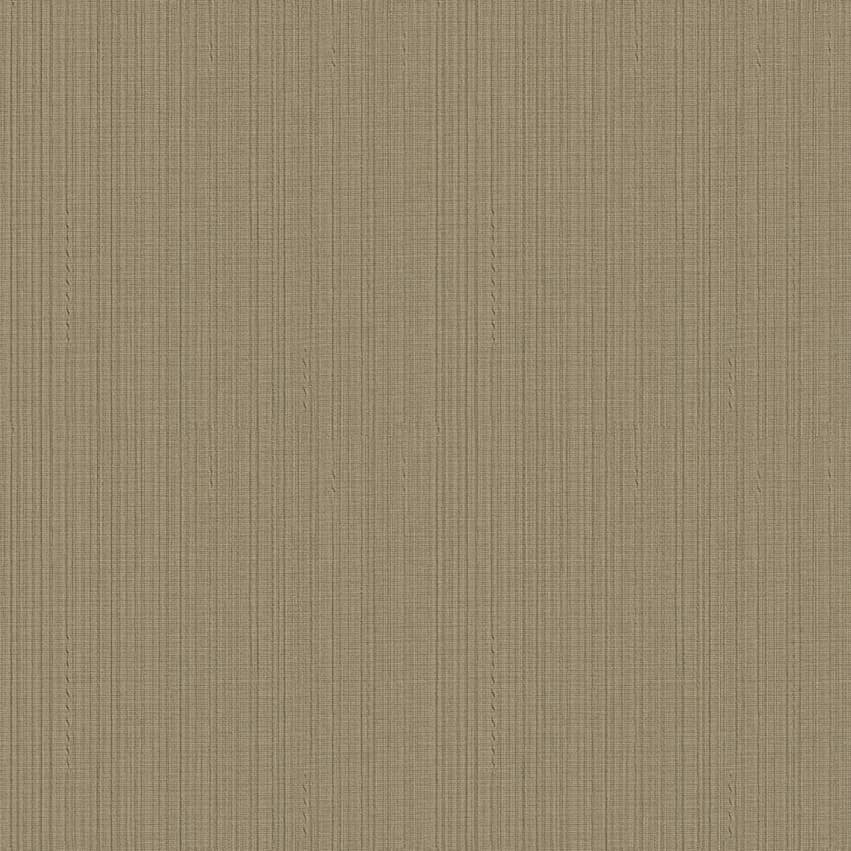seneca_101618_lowres