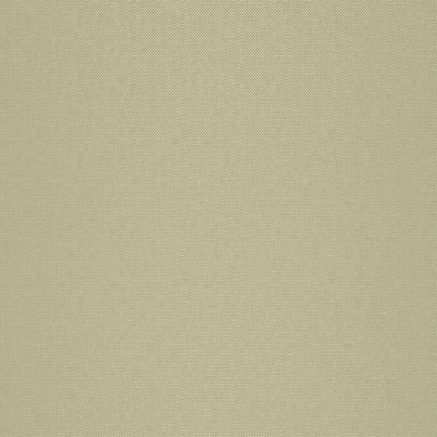 strie_255002_lowres