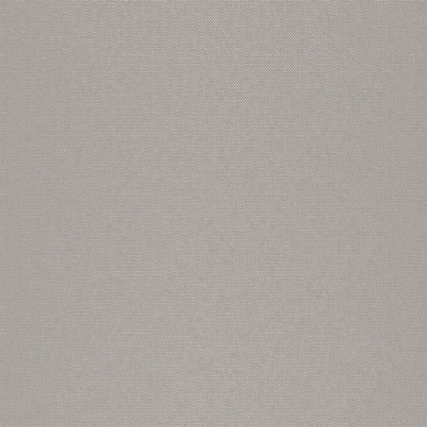 strie_255005_lowres
