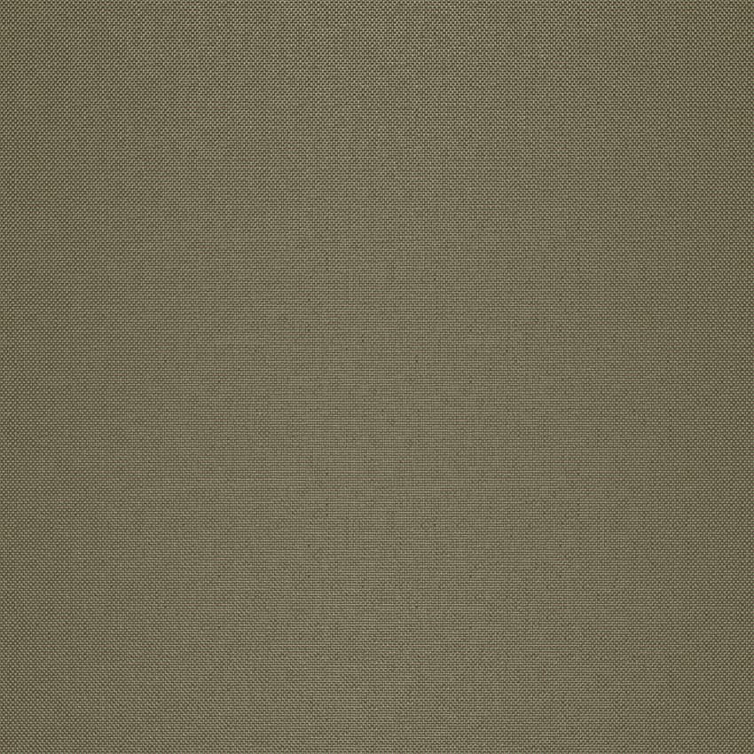 strie_255001_lowres