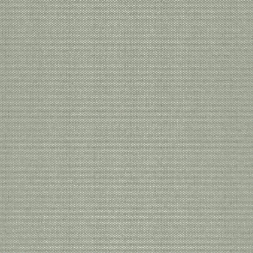 strie_255004_lowres