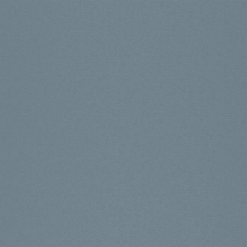 strie_255007_lowres