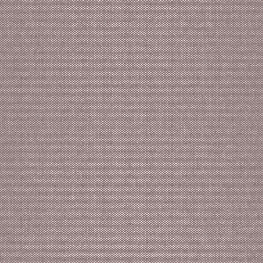 strie_255011_lowres