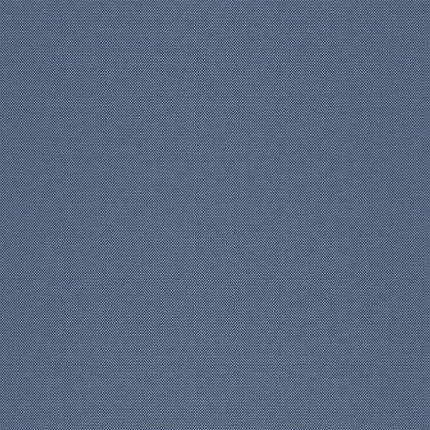 strie_255009_lowres