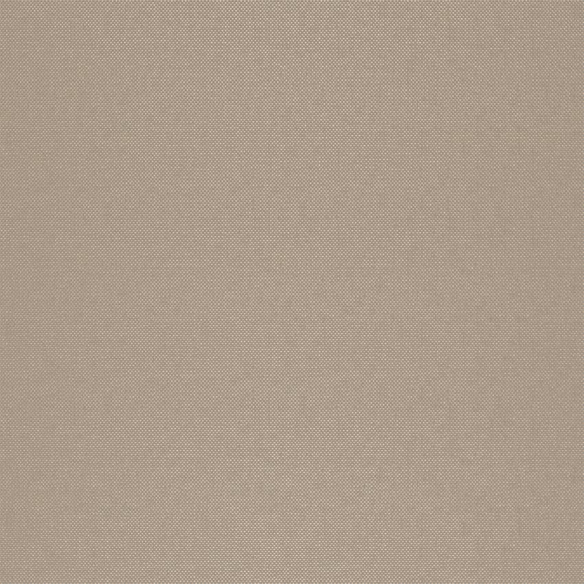 strie_255012_lowres