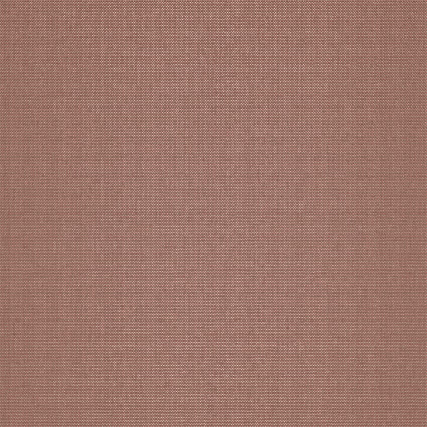strie_255029_lowres