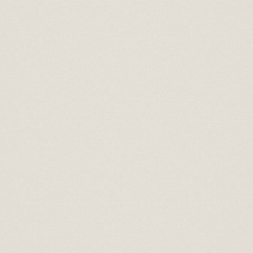 strie_255013_lowres