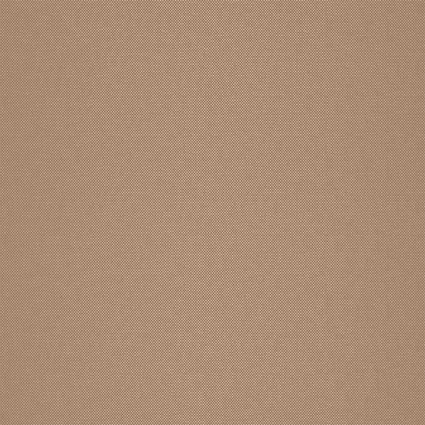 strie_255023_lowres