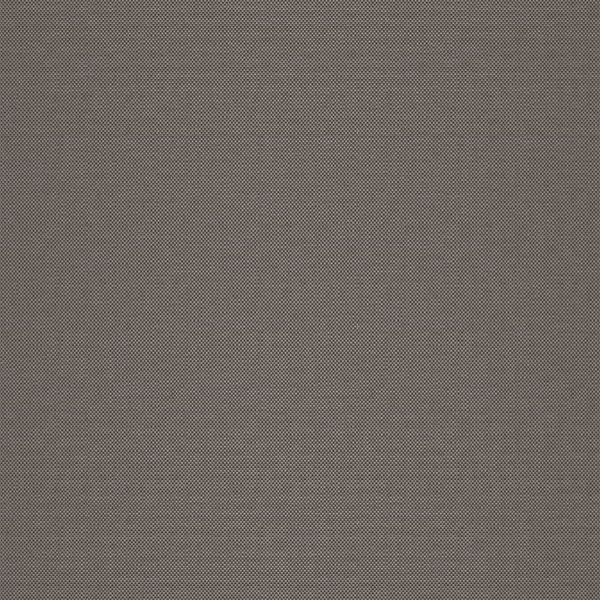 strie_255024_lowres
