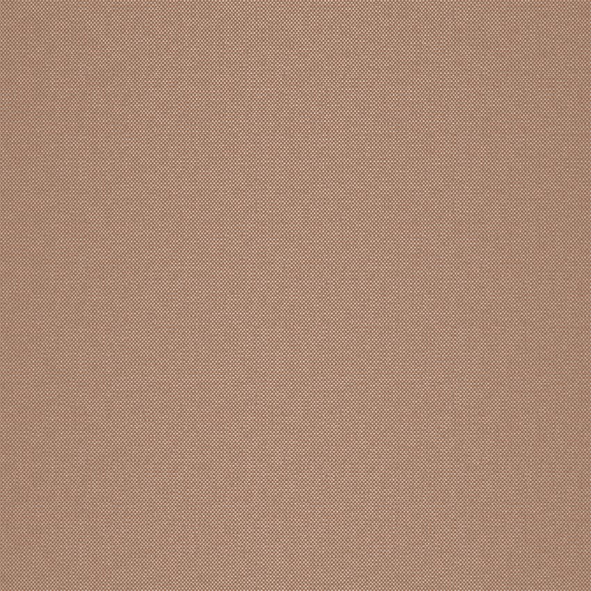 strie_255027_lowres