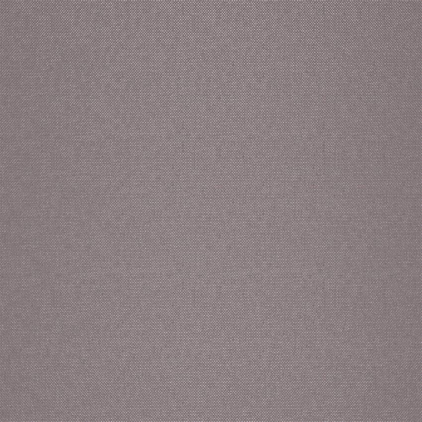 strie_255028_lowres
