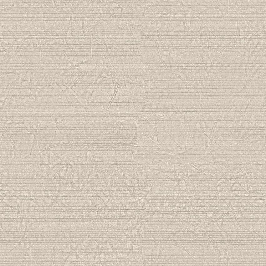 terral_261745_lowres