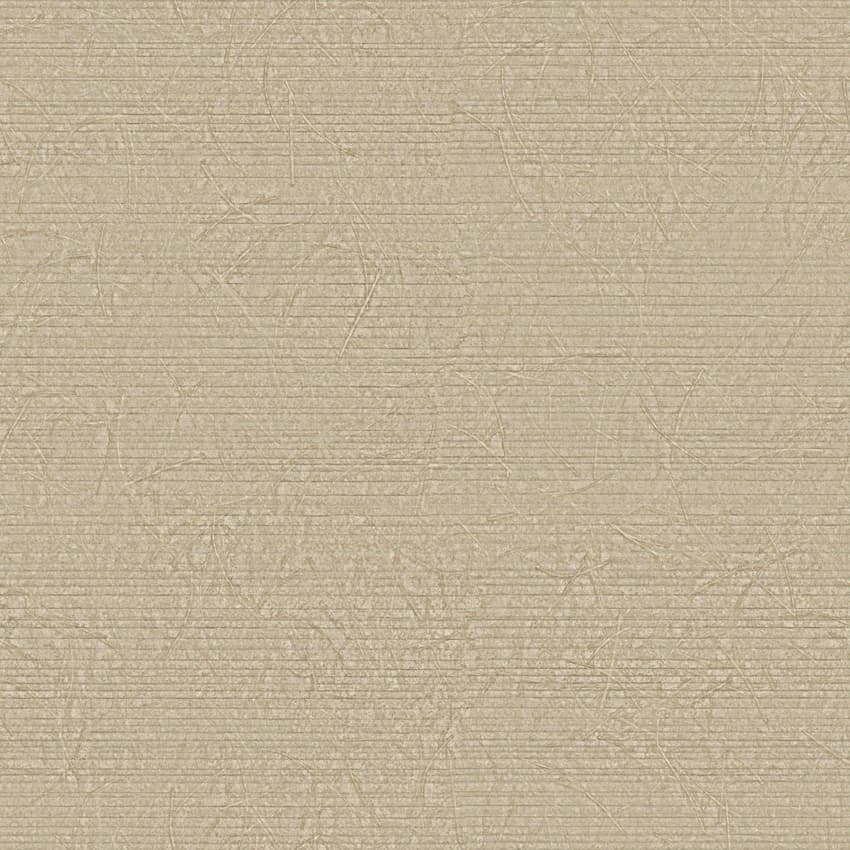 terral_261746_lowres