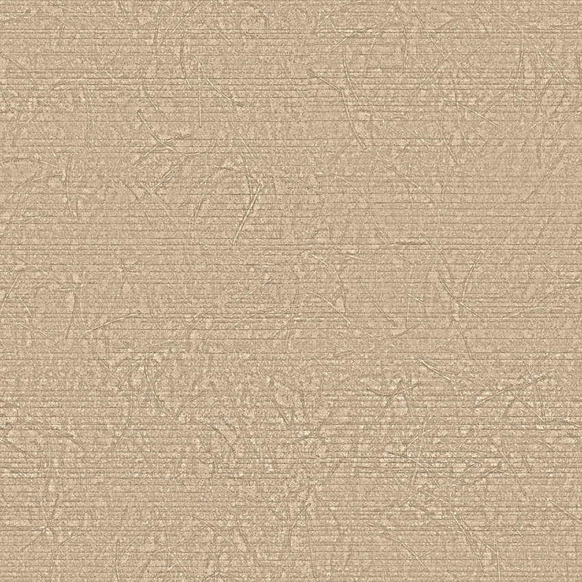 terral_261749_lowres