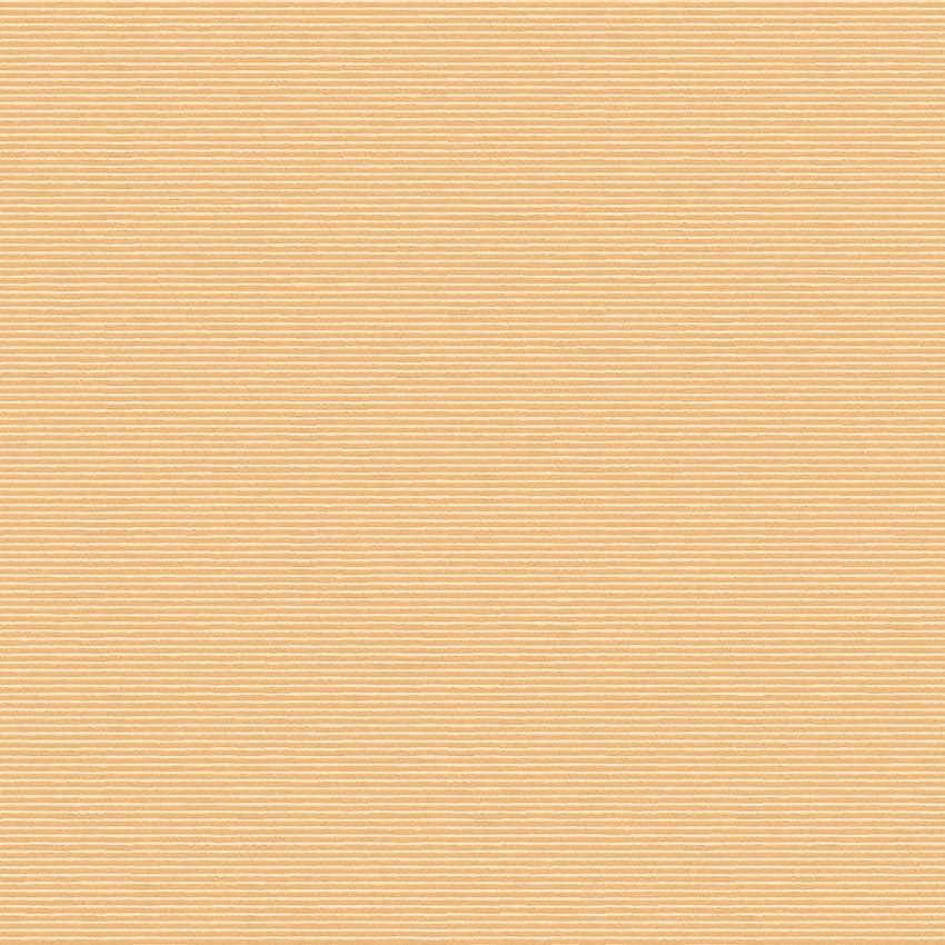 ventura_261450_lowres