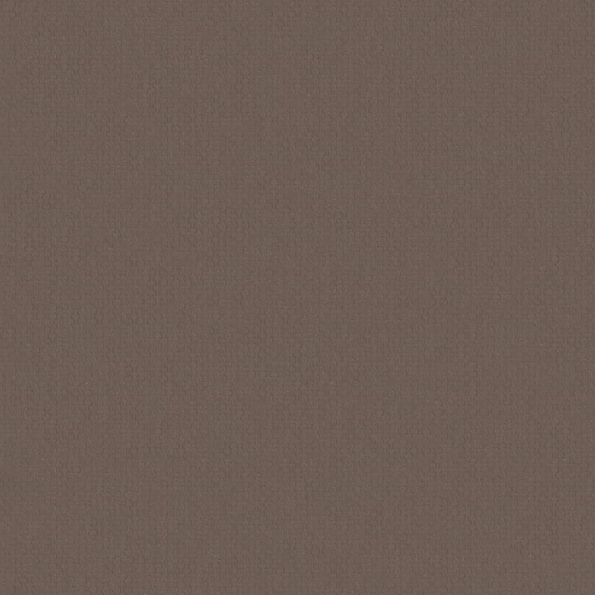 canvasa_261889_lowres
