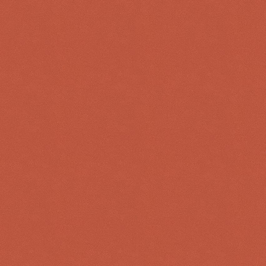colour-choice_1056004_lowres