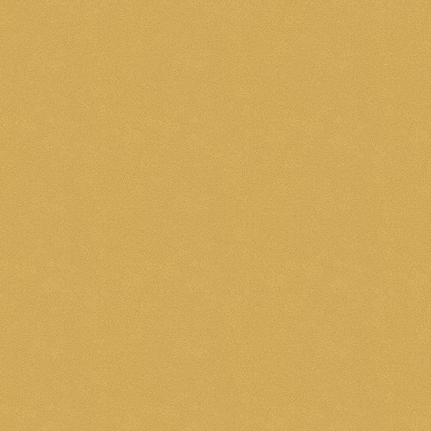colour-choice_1056006_lowres