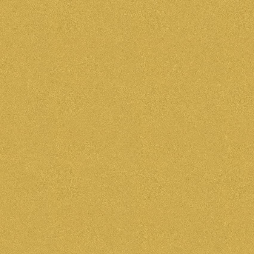 colour-choice_1056007_lowres