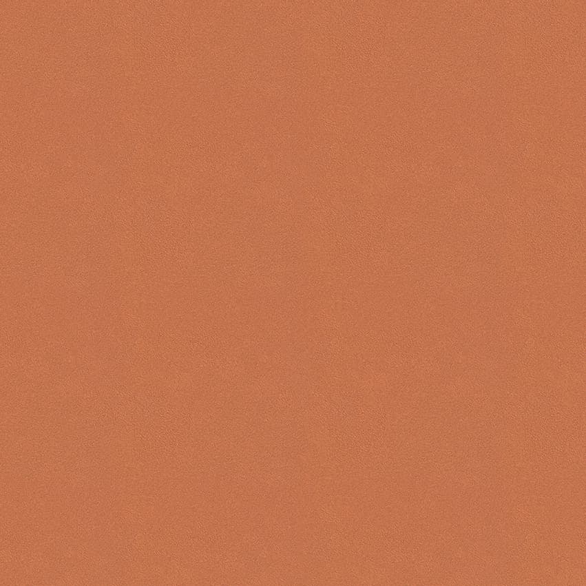colour-choice_1056012_lowres