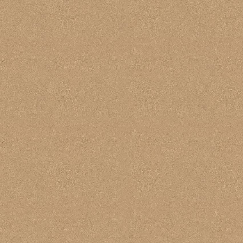 colour-choice_1056014_lowres