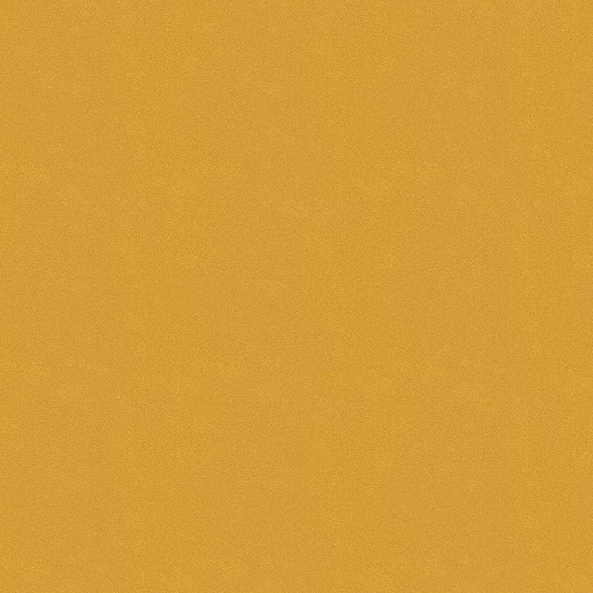 colour-choice_1056013_lowres
