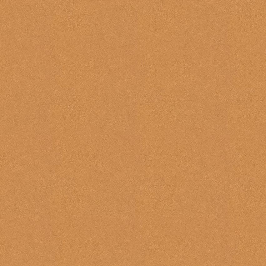 colour-choice_1056020_lowres