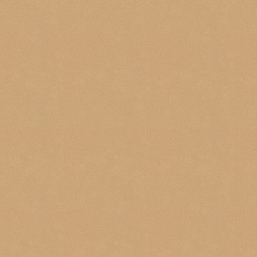 colour-choice_1056021_lowres