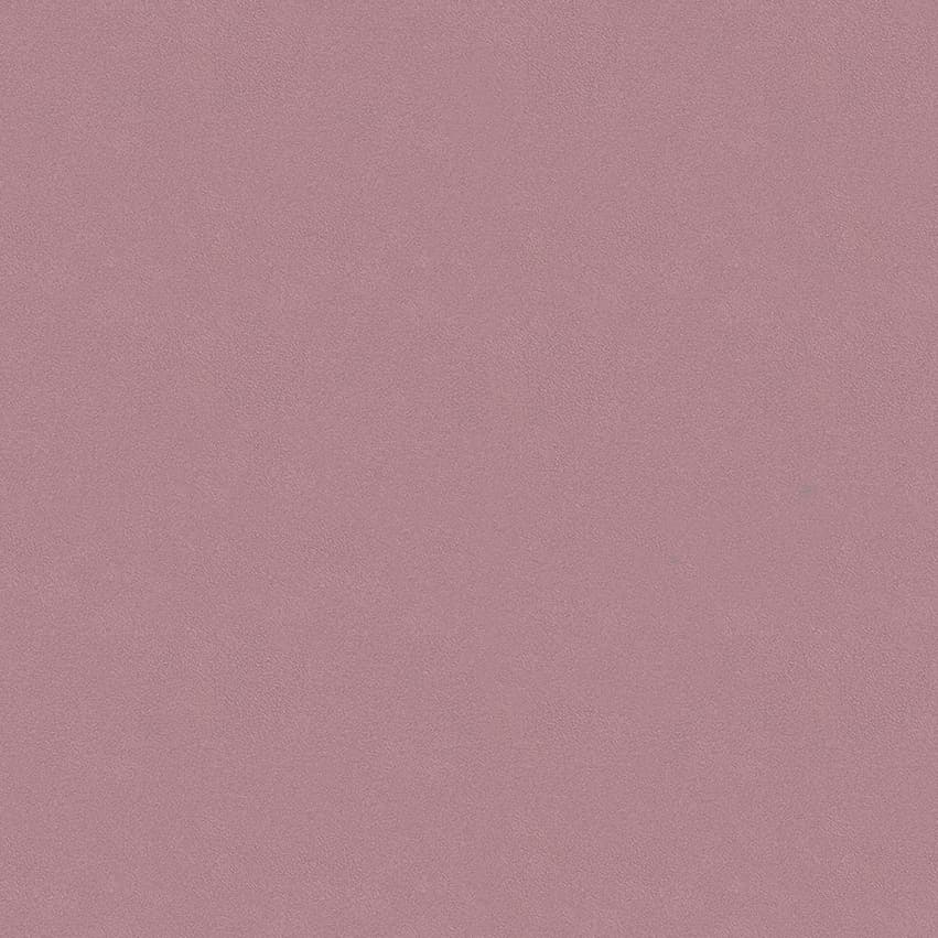 colour-choice_1056031_lowres