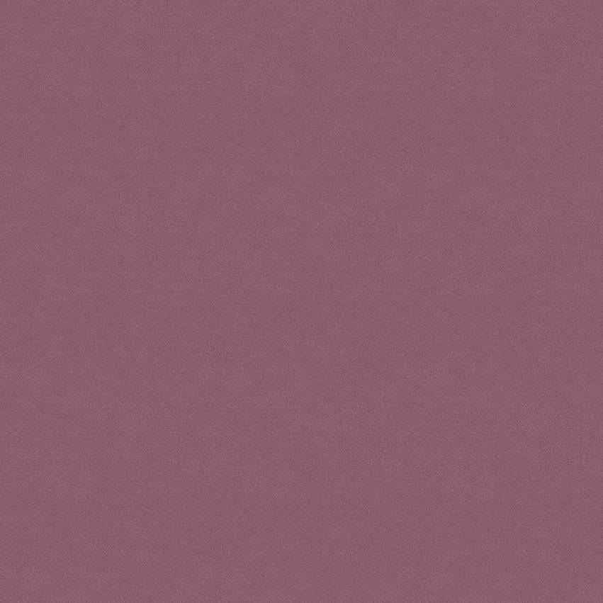 colour-choice_1056030_lowres