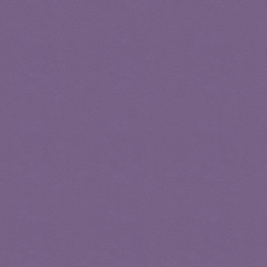 colour-choice_1056037_lowres