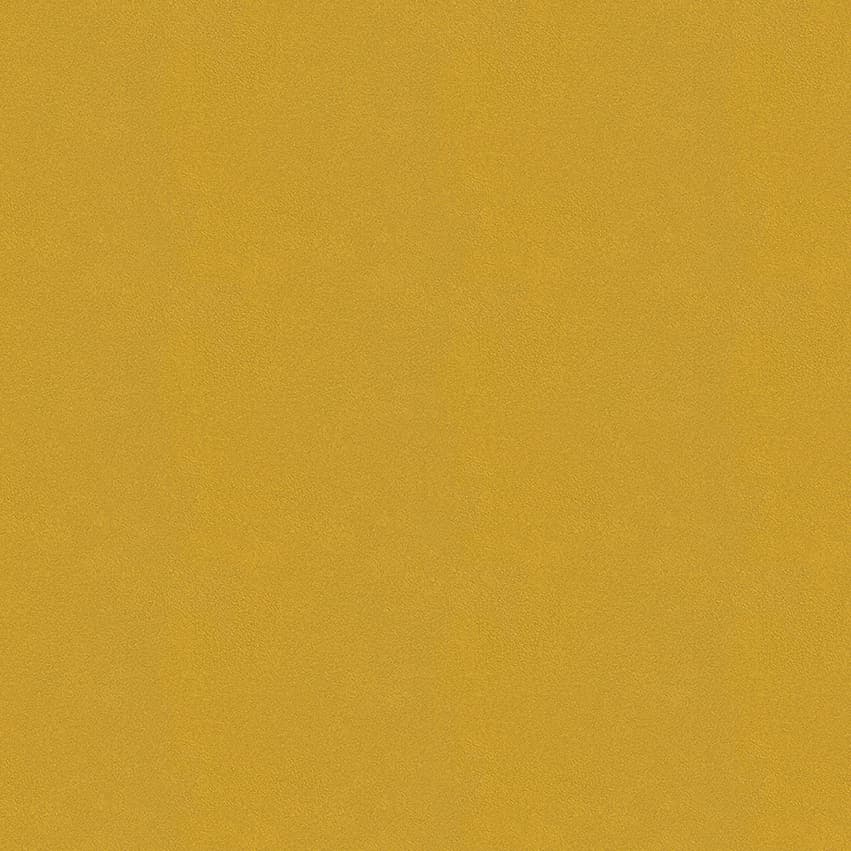 colour-choice_1056050_lowres